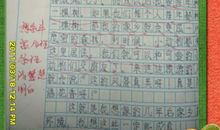 初一作文这就是我500字