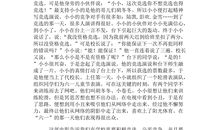 小小代校长读后感