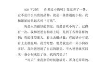 我和小狗的作文