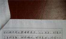 2013年高考满分作文江苏卷:智慧之光
