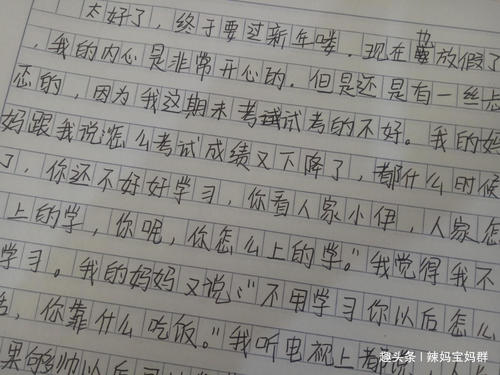 我的寒假作​​文