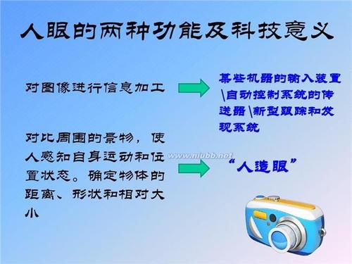 仿生成分