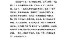 机器人想象作文800字