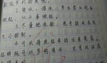 环境保护作文