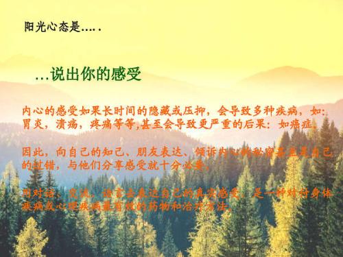 关于“阳光思想”的思考