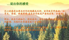 “阳光心态”读后感