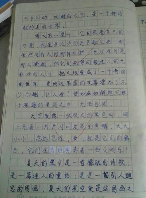 寒假景观组成