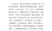 小学生作文我学会了溜冰