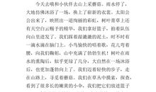 乡村见闻作文300字