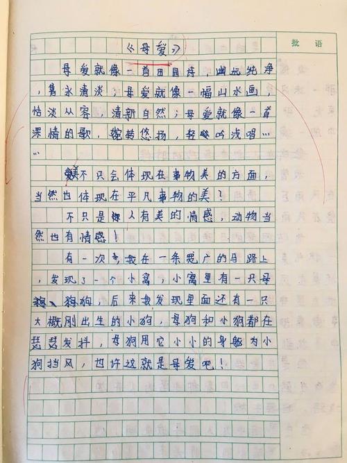 母亲烹饪组成