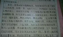 关于写父母的爱的作文