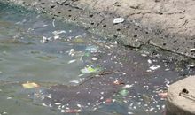 污染环境的作文