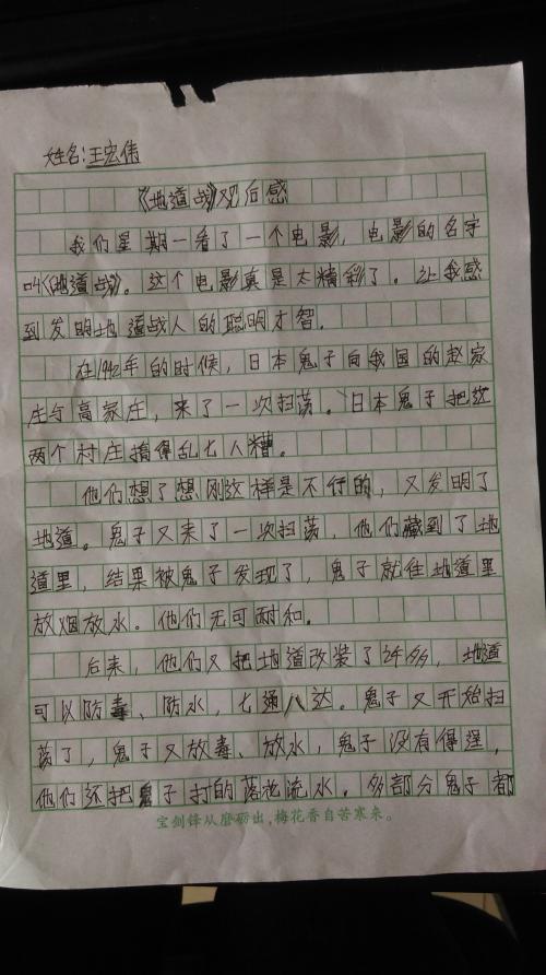 元旦写作300字