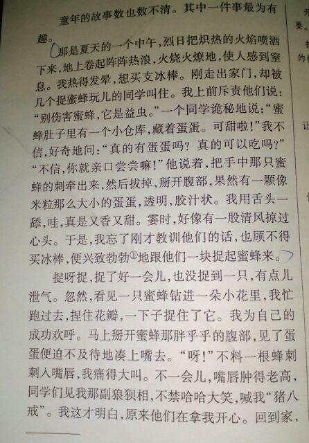300字农村趣味随笔