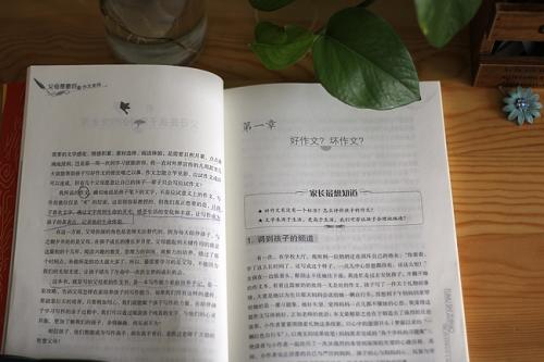 开明的构图