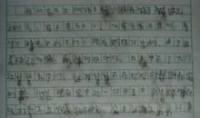 我的家乡作文700字