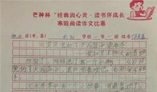 愉快的寒假作文