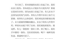 乡村趣事作文200字