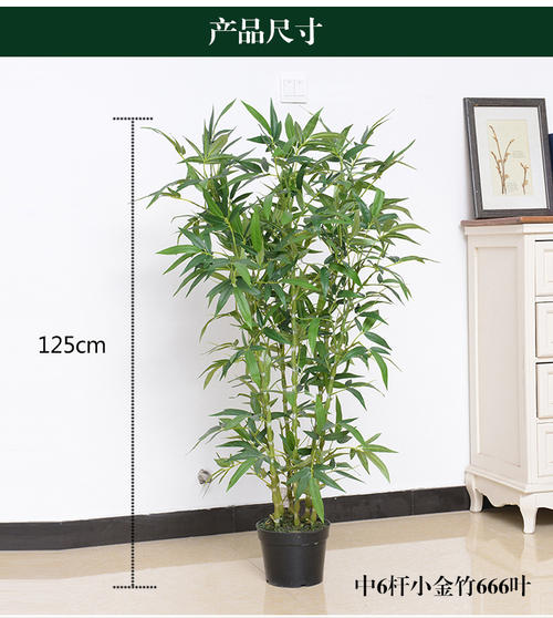 看完金竹花