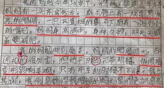 我妈妈的日记