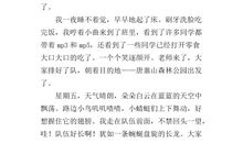 春游的作文400字