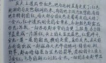 开学了作文200字