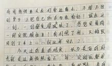 春游的作文300字