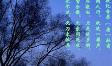 人间真情读后感