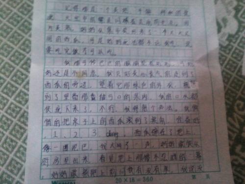 农历新年趣味小品文600字