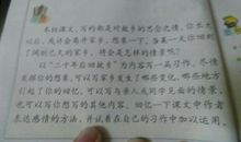 20年后的故乡作文450字