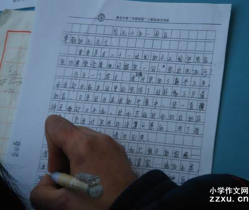 类别800字