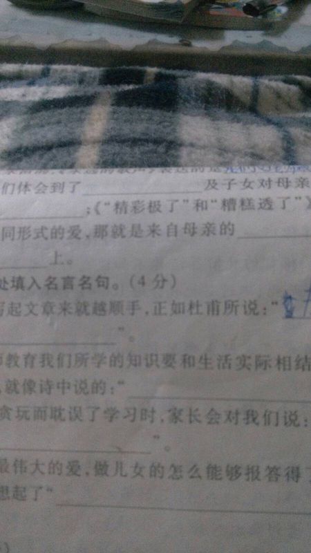 读完秋念300字