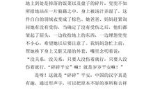 春节趣事作文200字