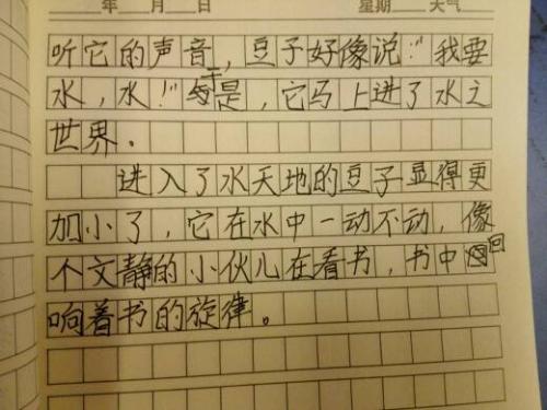 这是我的小学作文