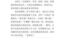 关于元旦的作文700字