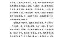 云裳读后感800字