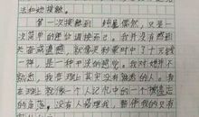 一件事作文600字