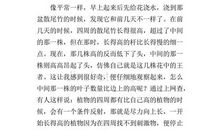 关于养花的作文