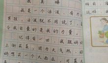 关于写雾的作文400字