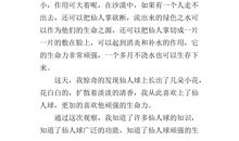 一件意外的事作文