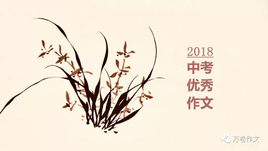 2018四川巴中高考全场作文：束缚让我如此美丽