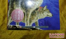 兵猴传奇读后感