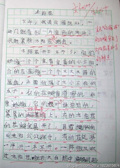 诚实组成
