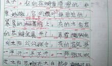 有关诚实的作文