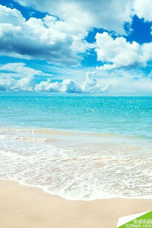 夏季海滩组成