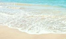 夏日的海滩作文