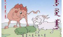 关于苍蝇的作文