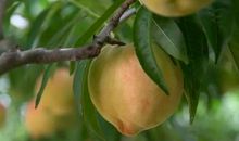 如何开始一份新工作？