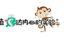 布雷迪的猴子读后感