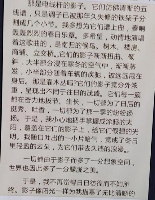 初中校园友谊组成
